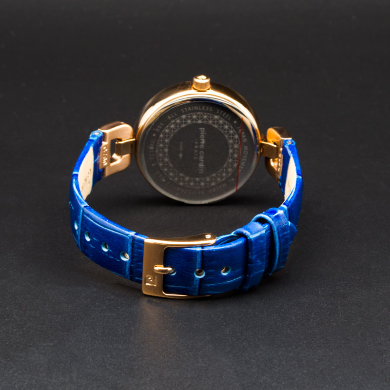 Pierre Cardin PC108172F03